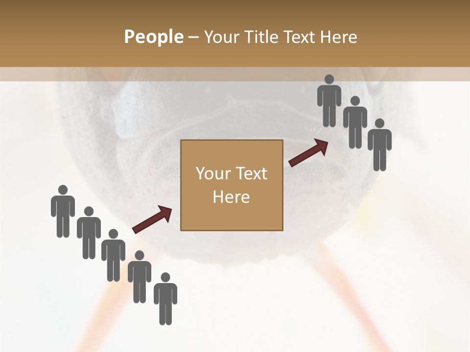 Saltwater Salt Coral PowerPoint Template