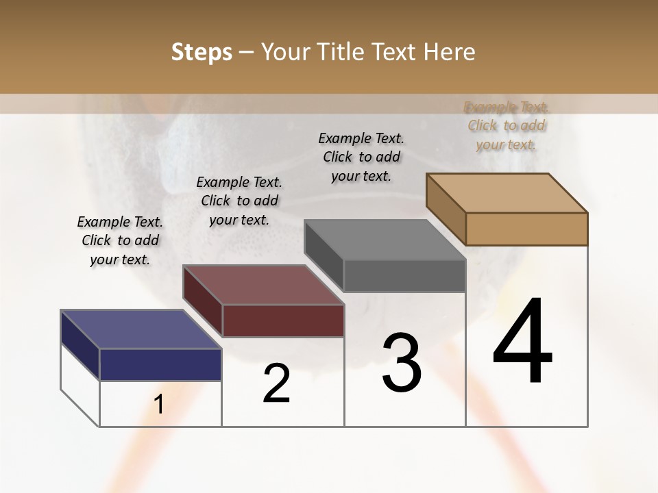 Saltwater Salt Coral PowerPoint Template