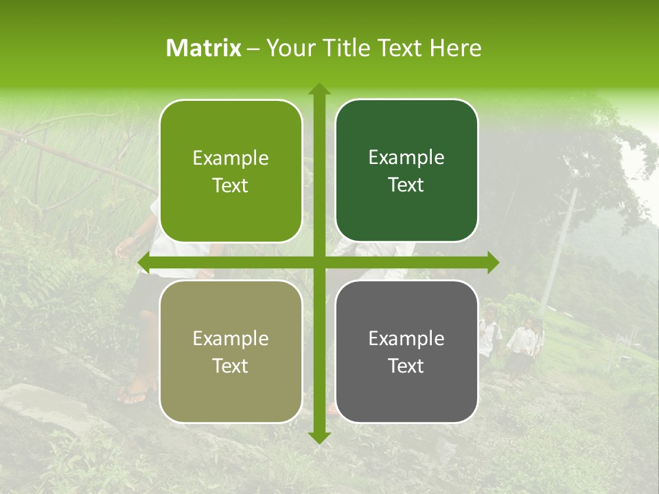 Beautiful India Pink PowerPoint Template