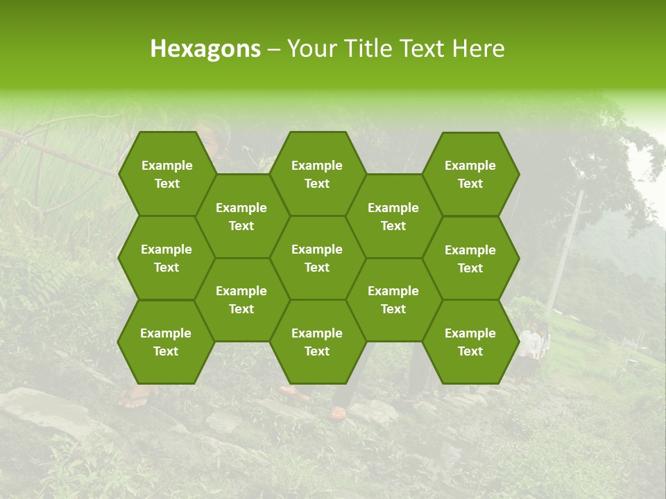 Beautiful India Pink PowerPoint Template