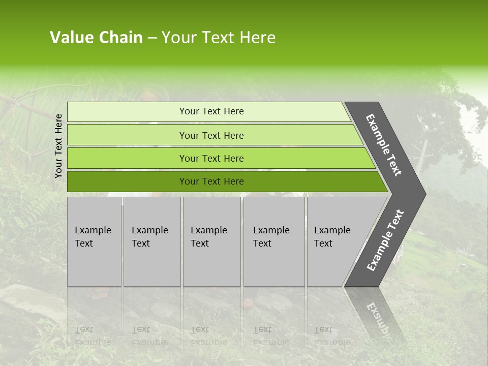 Beautiful India Pink PowerPoint Template