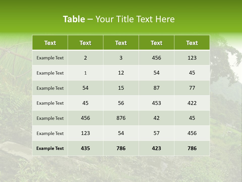 Beautiful India Pink PowerPoint Template