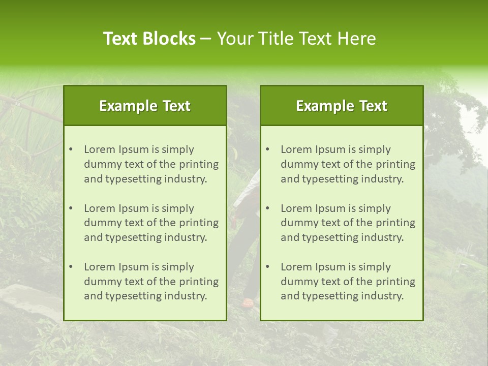 Beautiful India Pink PowerPoint Template