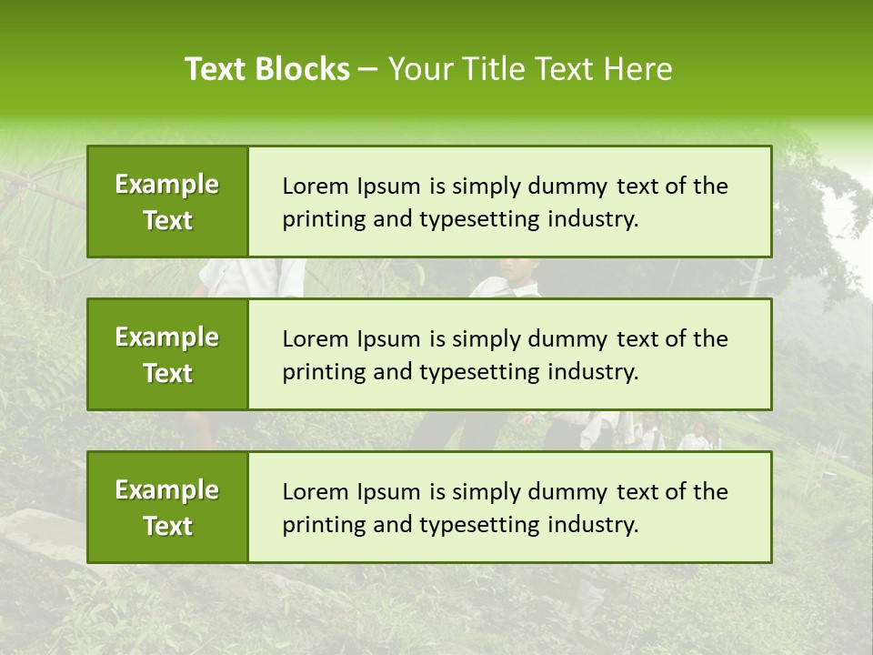 Beautiful India Pink PowerPoint Template