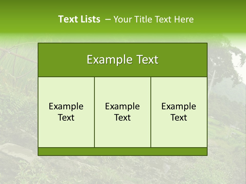 Beautiful India Pink PowerPoint Template