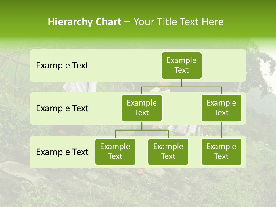 Beautiful India Pink PowerPoint Template