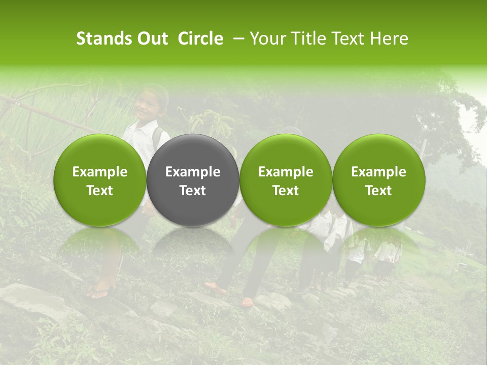 Beautiful India Pink PowerPoint Template