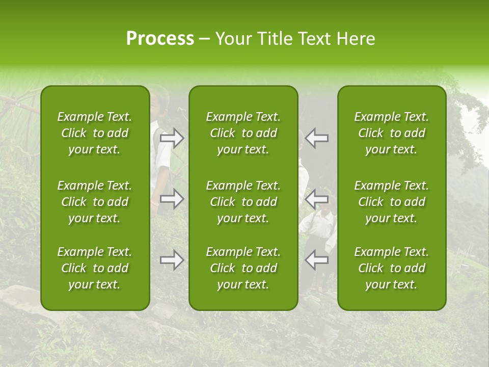 Beautiful India Pink PowerPoint Template