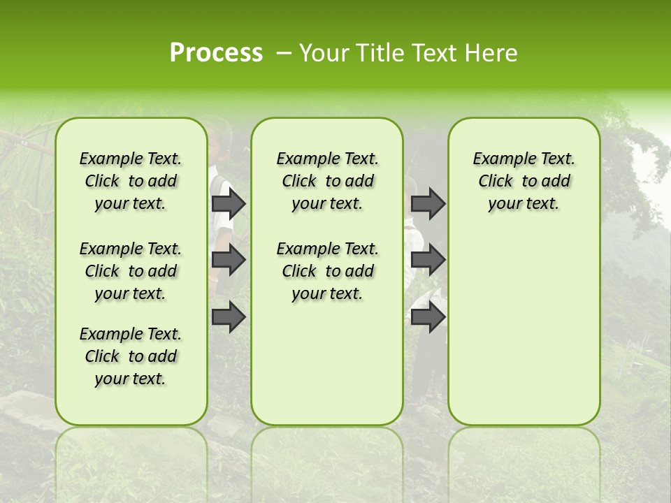 Beautiful India Pink PowerPoint Template