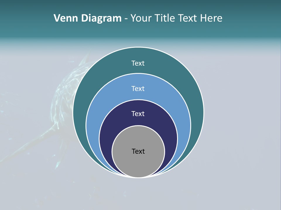 Shark Man Eater Menacing PowerPoint Template