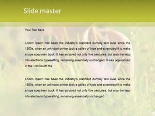 Brunette Young Fresh PowerPoint Template