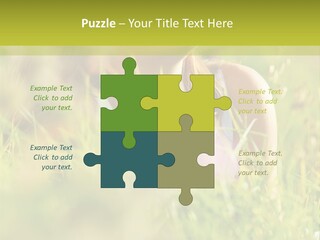 Brunette Young Fresh PowerPoint Template