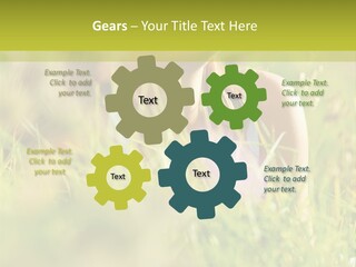 Brunette Young Fresh PowerPoint Template