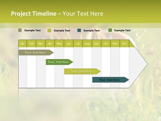 Brunette Young Fresh PowerPoint Template