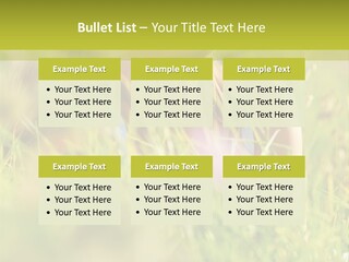 Brunette Young Fresh PowerPoint Template