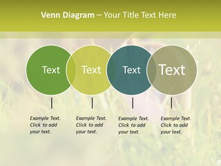 Brunette Young Fresh PowerPoint Template