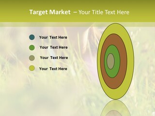 Brunette Young Fresh PowerPoint Template
