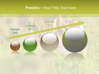 Brunette Young Fresh PowerPoint Template