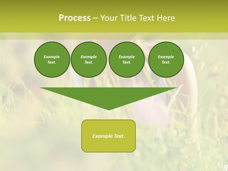 Brunette Young Fresh PowerPoint Template