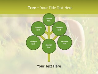 Brunette Young Fresh PowerPoint Template