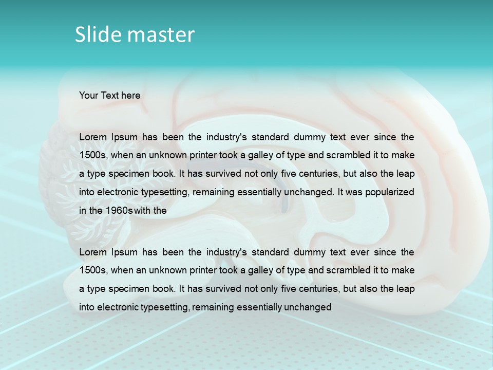 Model Organ Nervous PowerPoint Template