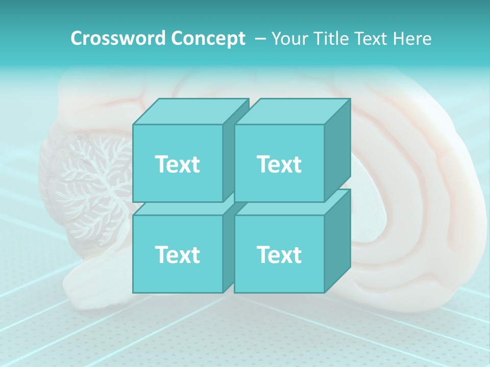 Model Organ Nervous PowerPoint Template
