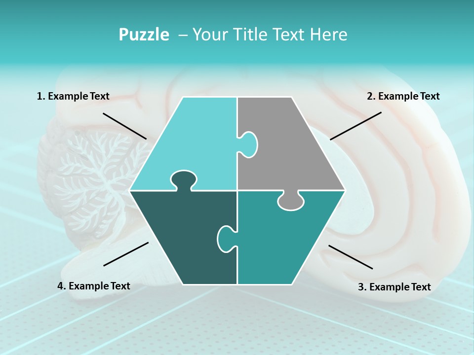 Model Organ Nervous PowerPoint Template