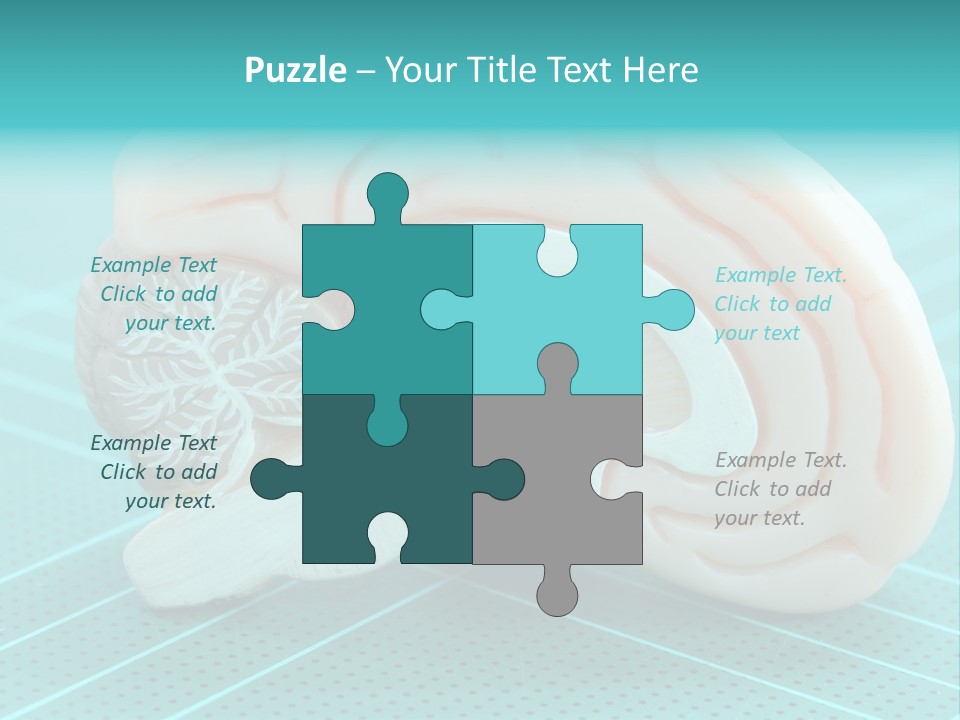 Model Organ Nervous PowerPoint Template