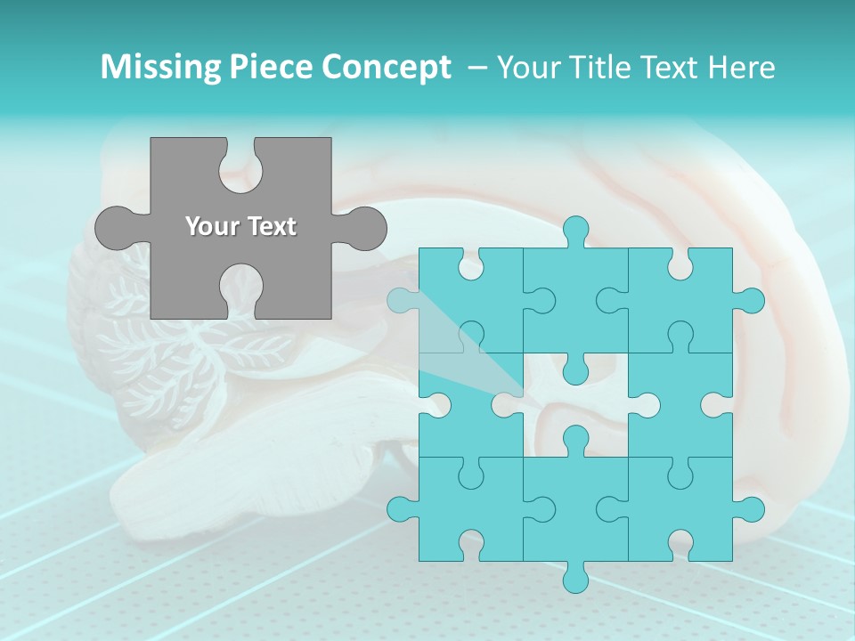 Model Organ Nervous PowerPoint Template