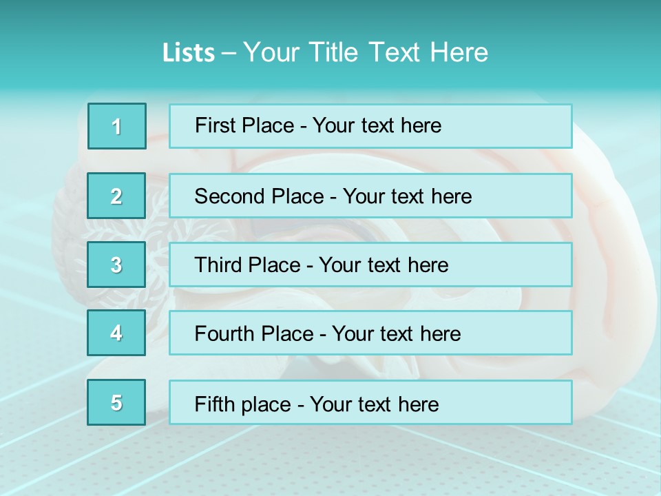 Model Organ Nervous PowerPoint Template