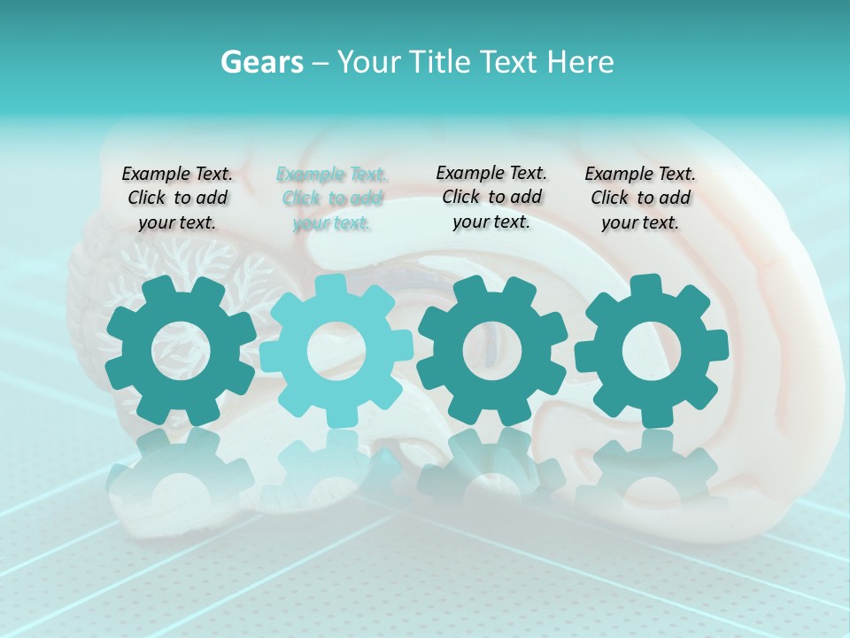 Model Organ Nervous PowerPoint Template