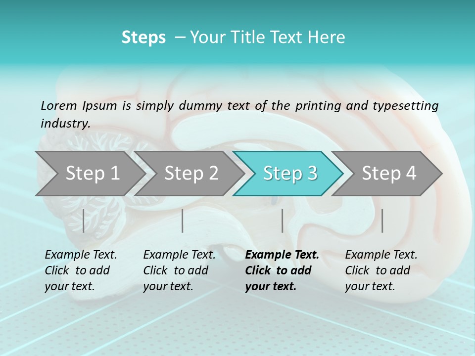 Model Organ Nervous PowerPoint Template
