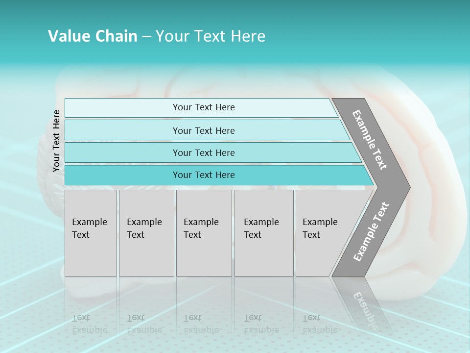 Model Organ Nervous PowerPoint Template