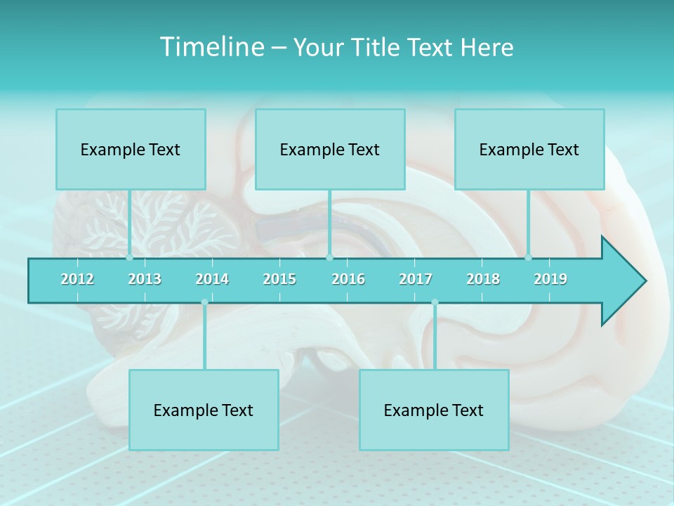 Model Organ Nervous PowerPoint Template