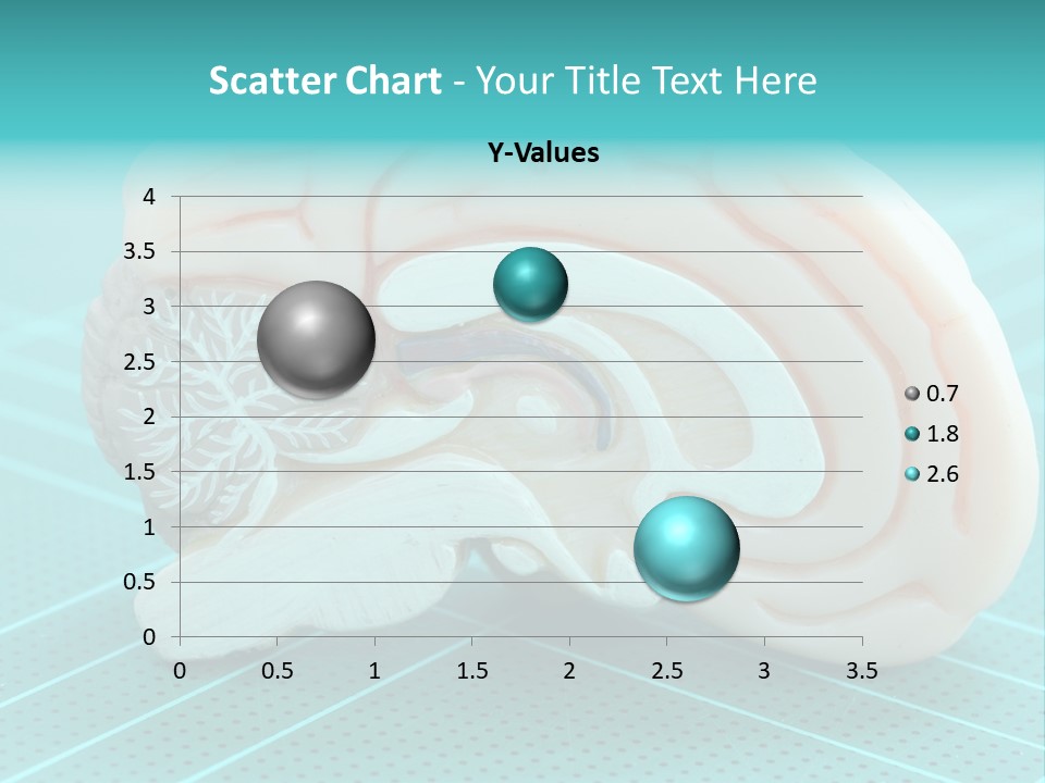 Model Organ Nervous PowerPoint Template