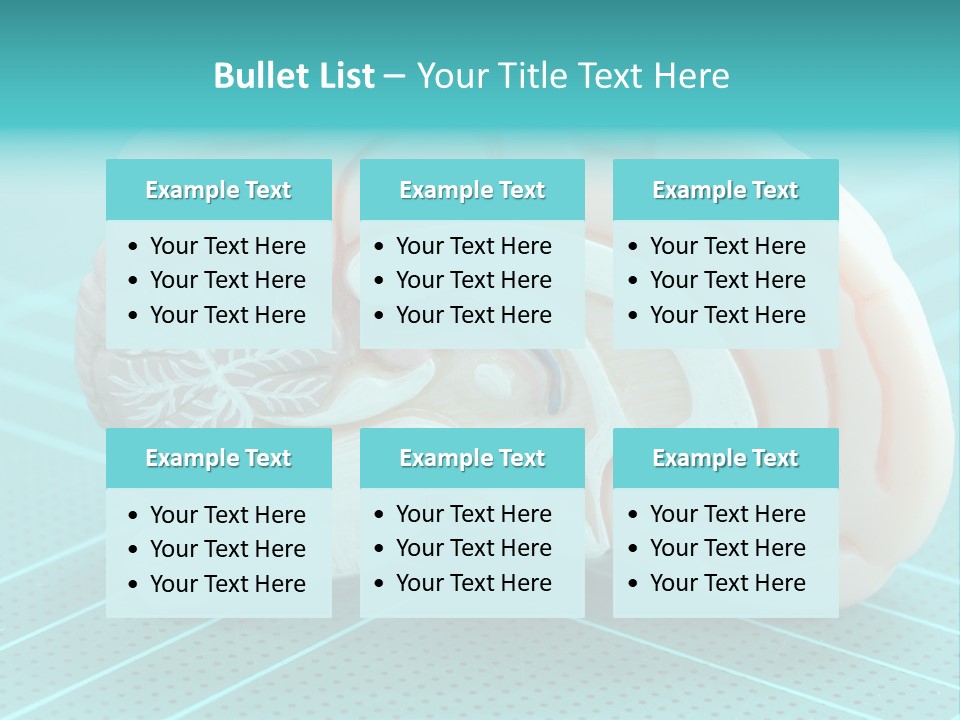 Model Organ Nervous PowerPoint Template