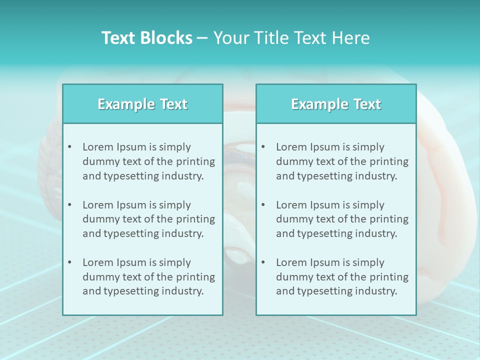 Model Organ Nervous PowerPoint Template