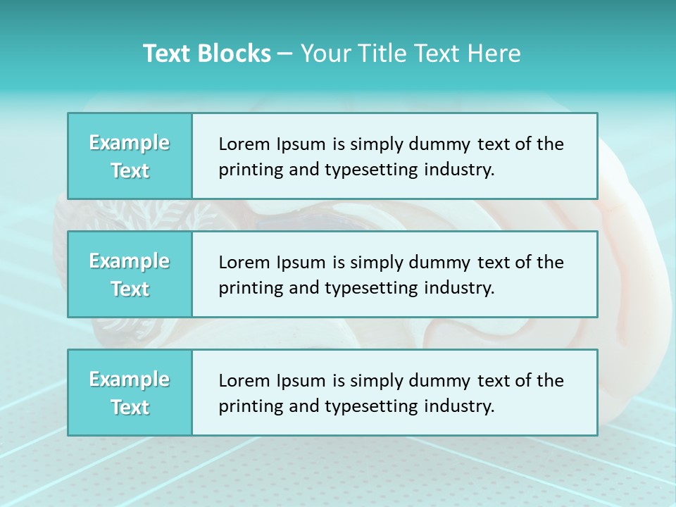 Model Organ Nervous PowerPoint Template