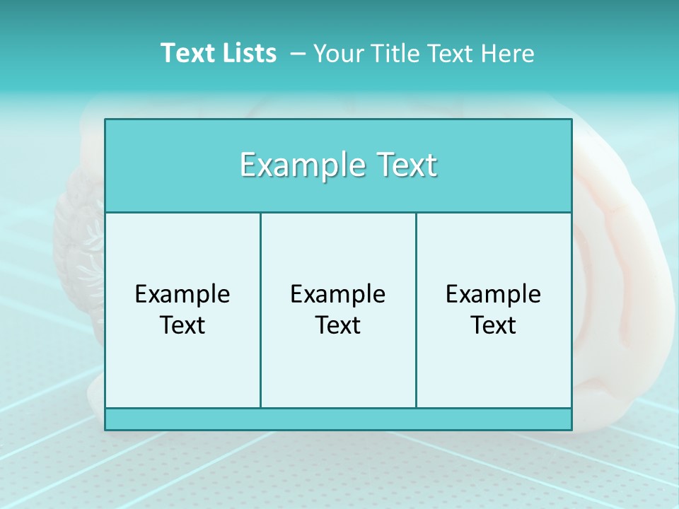 Model Organ Nervous PowerPoint Template
