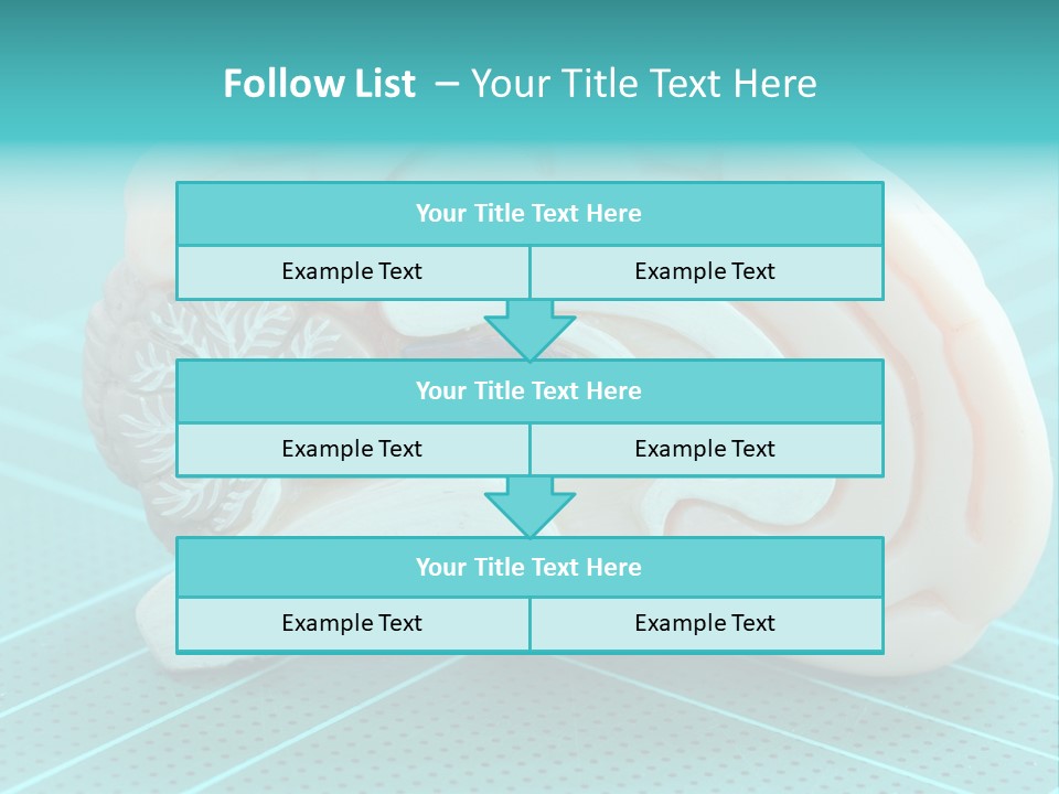 Model Organ Nervous PowerPoint Template