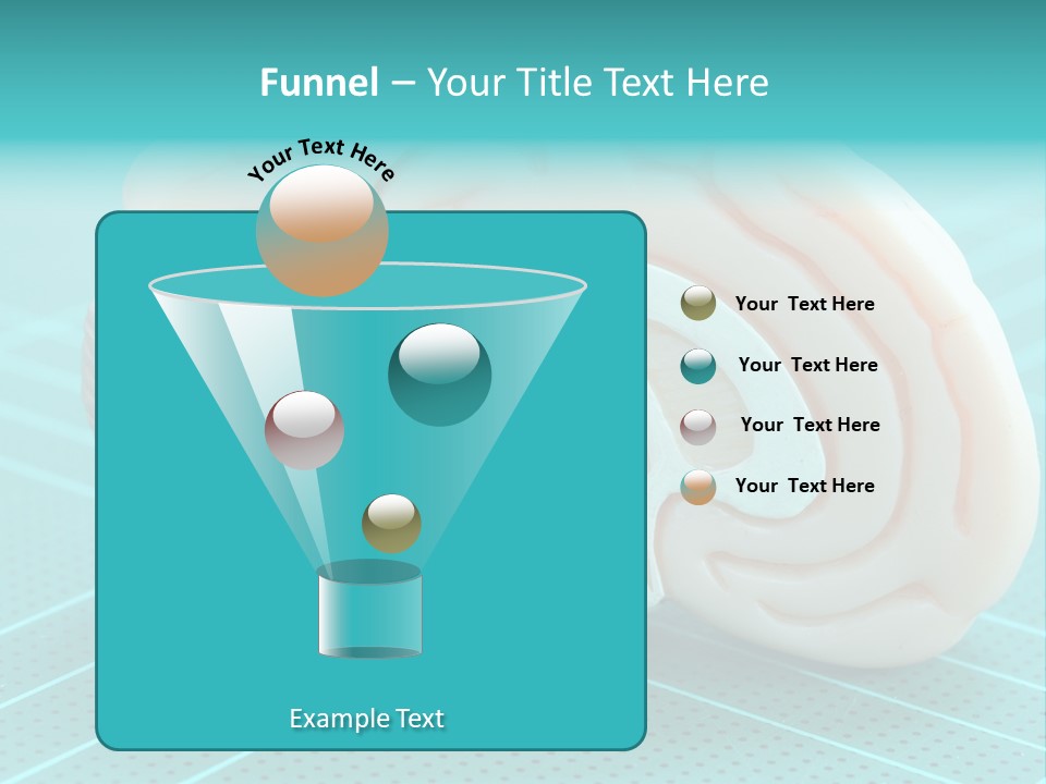 Model Organ Nervous PowerPoint Template