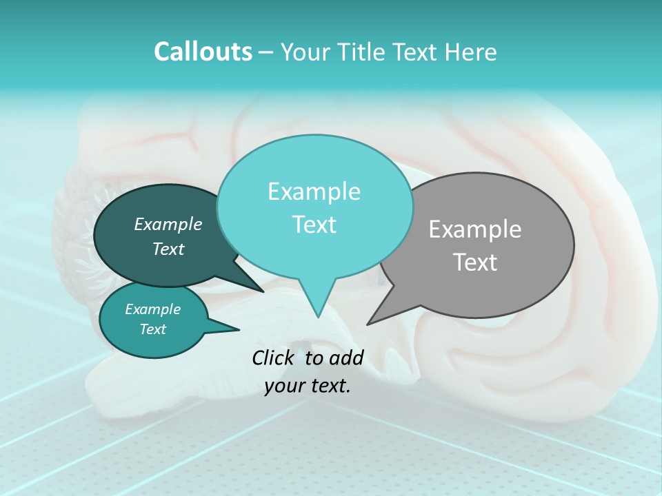 Model Organ Nervous PowerPoint Template