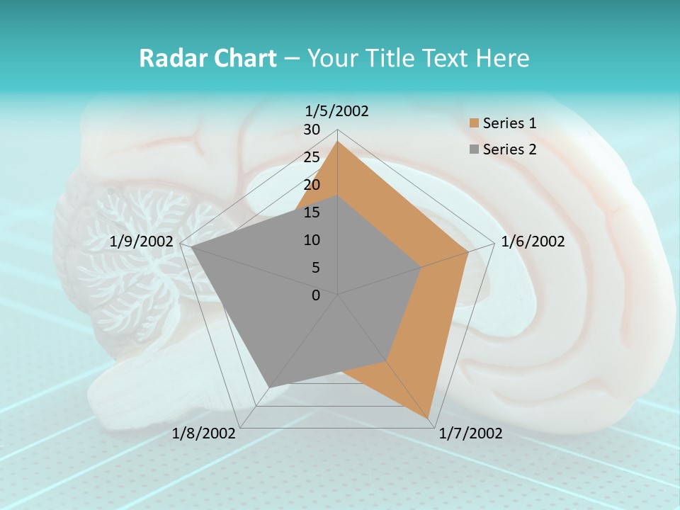 Model Organ Nervous PowerPoint Template