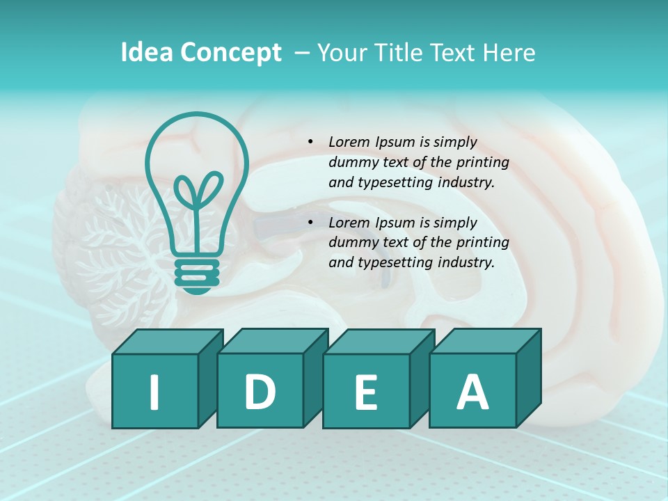 Model Organ Nervous PowerPoint Template