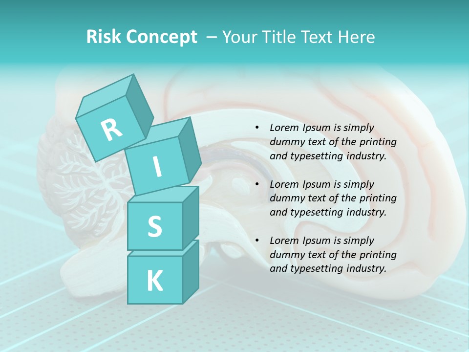 Model Organ Nervous PowerPoint Template