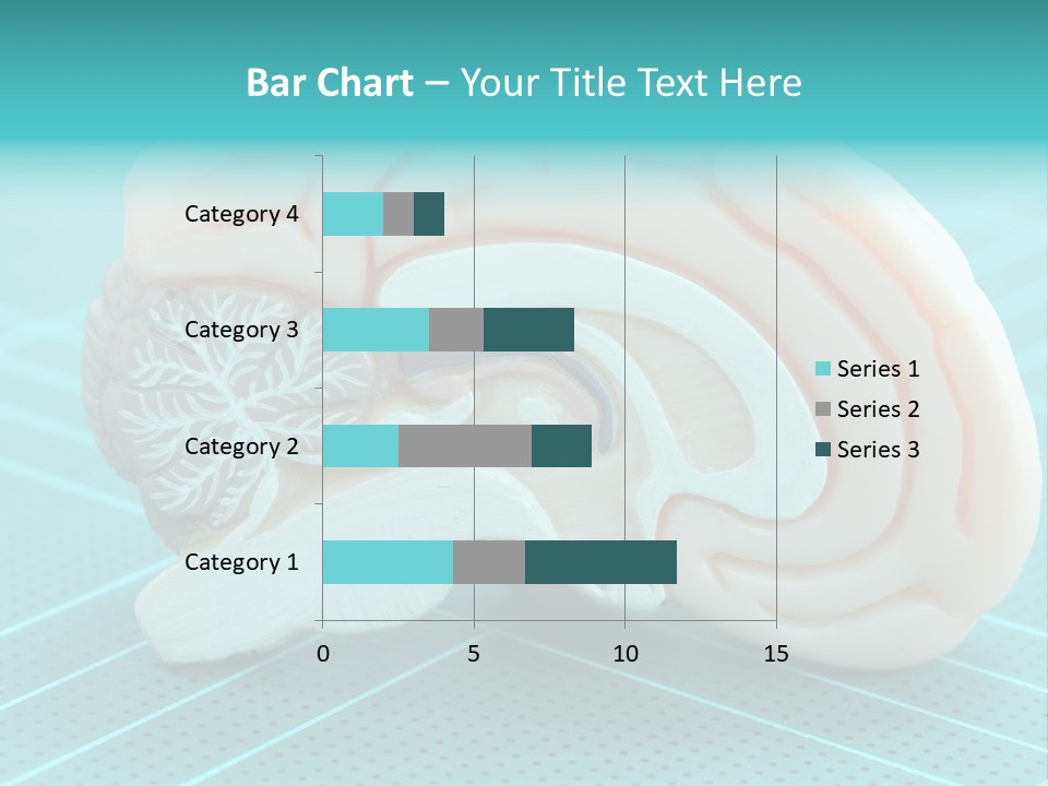 Model Organ Nervous PowerPoint Template