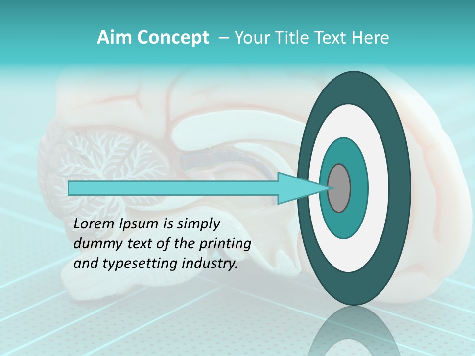Model Organ Nervous PowerPoint Template