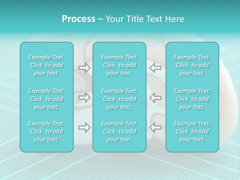 Model Organ Nervous PowerPoint Template