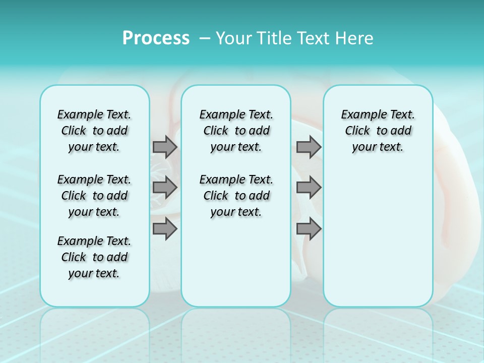 Model Organ Nervous PowerPoint Template