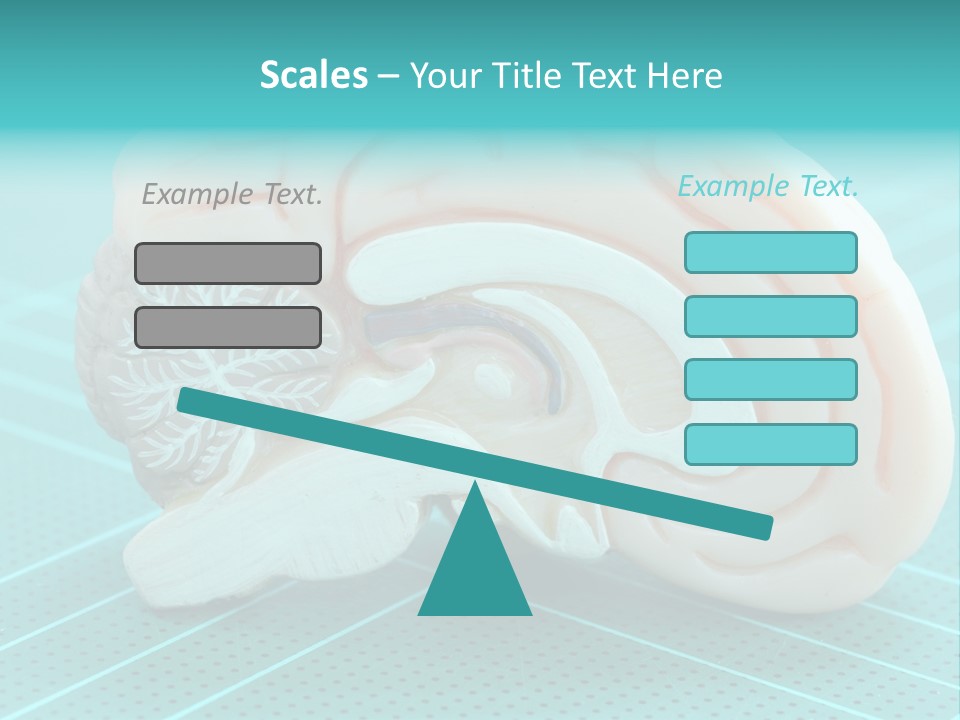 Model Organ Nervous PowerPoint Template